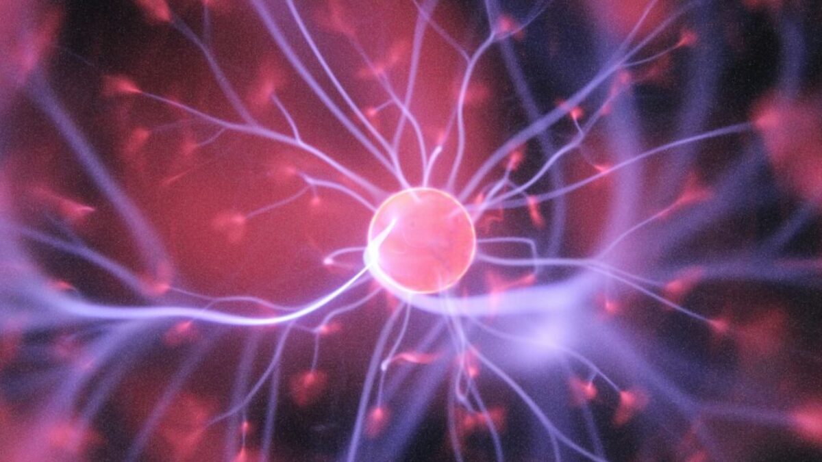 purple and pink plasma ball