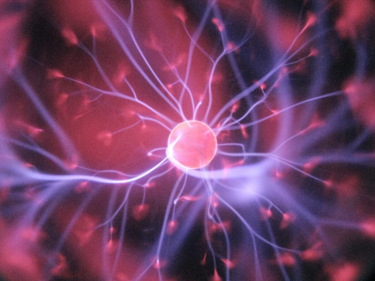 purple and pink plasma ball