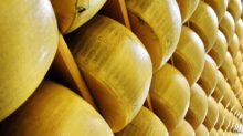 parmigiano reggiano, cheese, italy