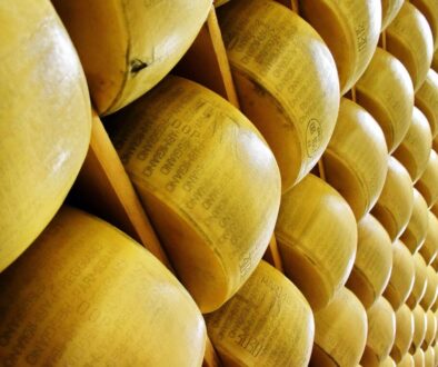 parmigiano reggiano, cheese, italy