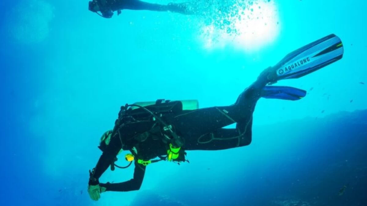 photography of two persons underwater