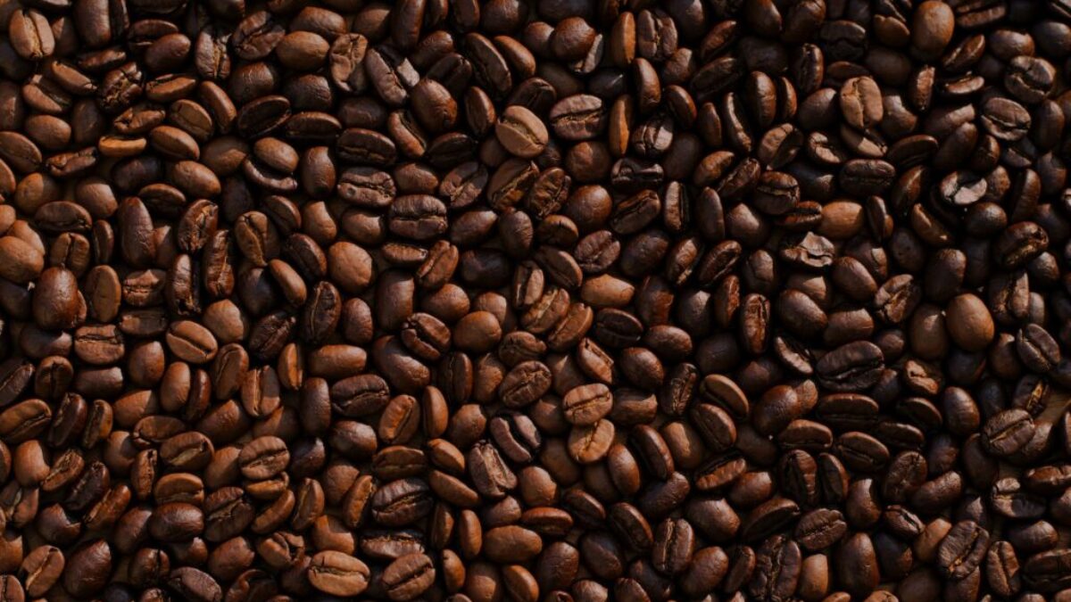 coffee bean lot