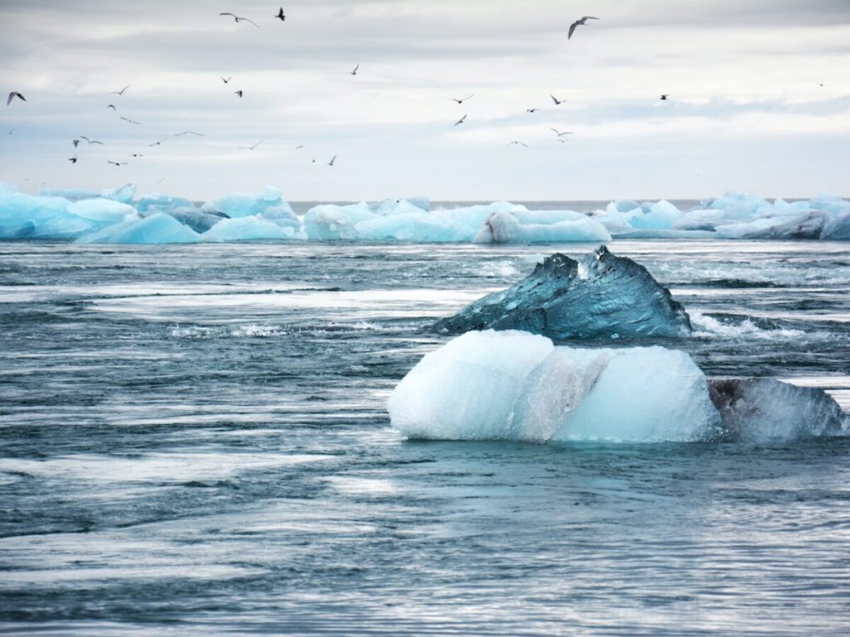 iceberg on water