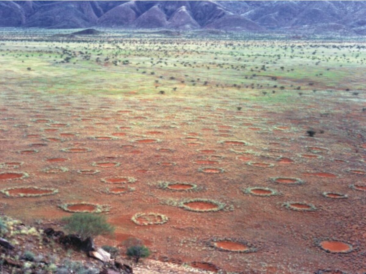 Fairy circles (kruhy víl), Nambia