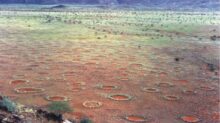 Fairy circles (kruhy víl), Nambia