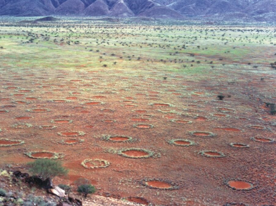 Fairy circles (kruhy víl), Nambia