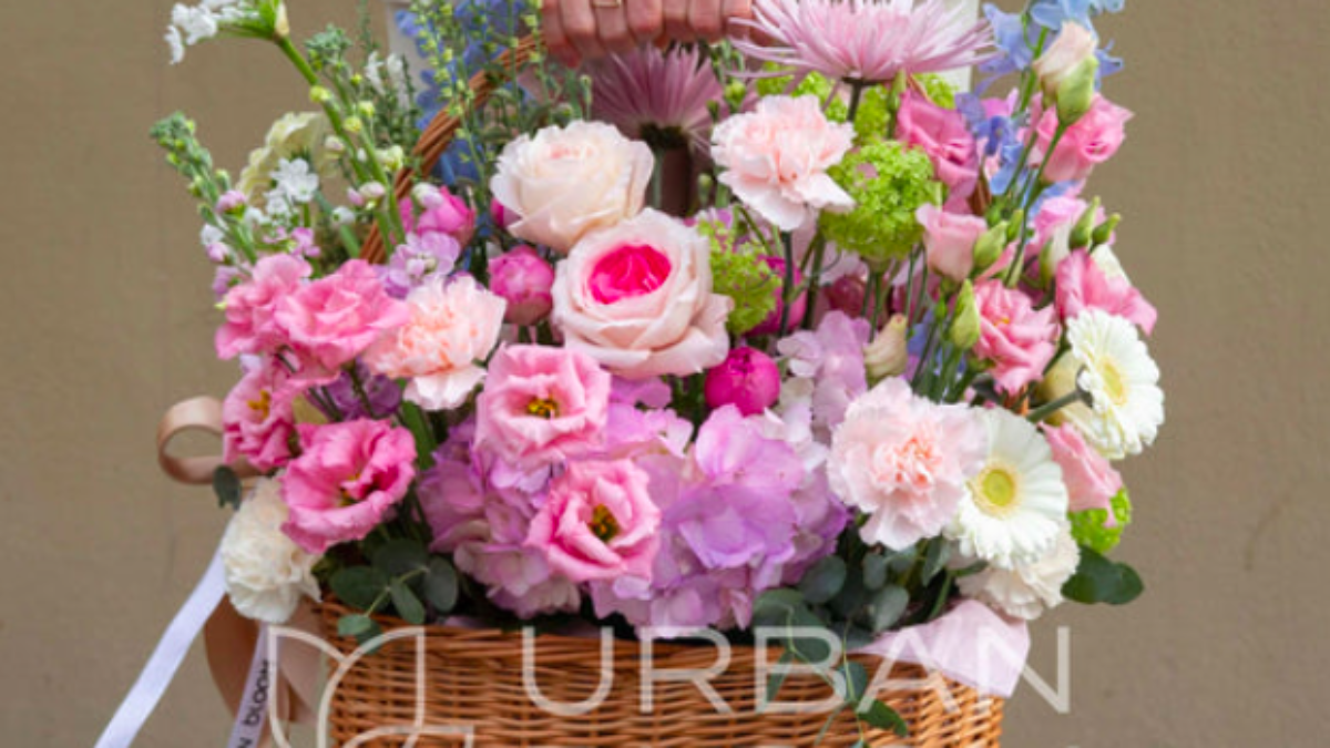 urbanbloom.cz