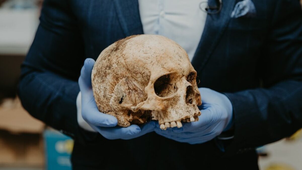 person in blue long sleeve shirt holding brown skull