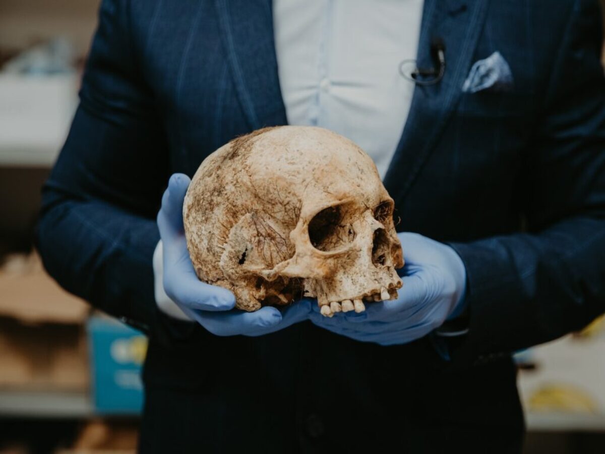 person in blue long sleeve shirt holding brown skull