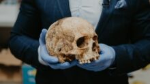 person in blue long sleeve shirt holding brown skull