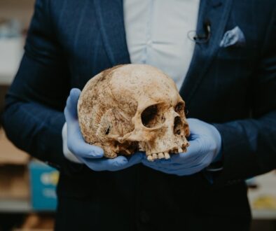 person in blue long sleeve shirt holding brown skull