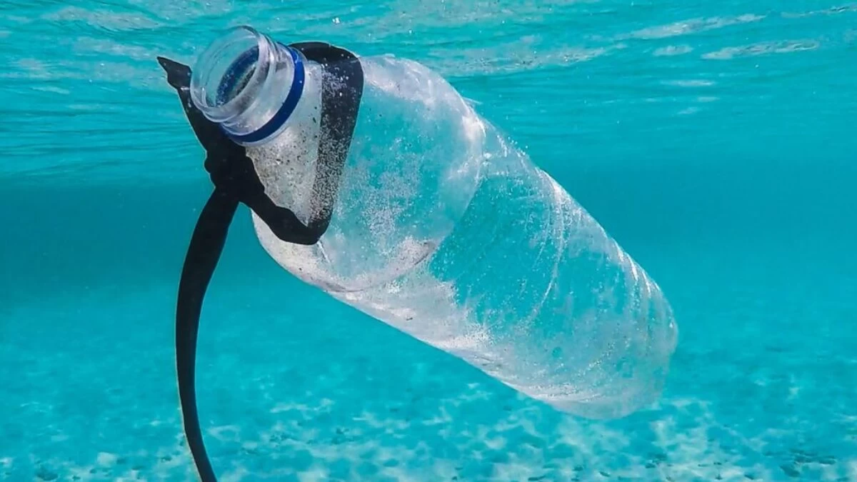 water bottle in water