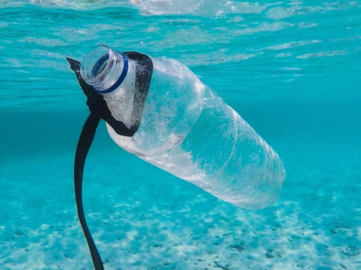 water bottle in water