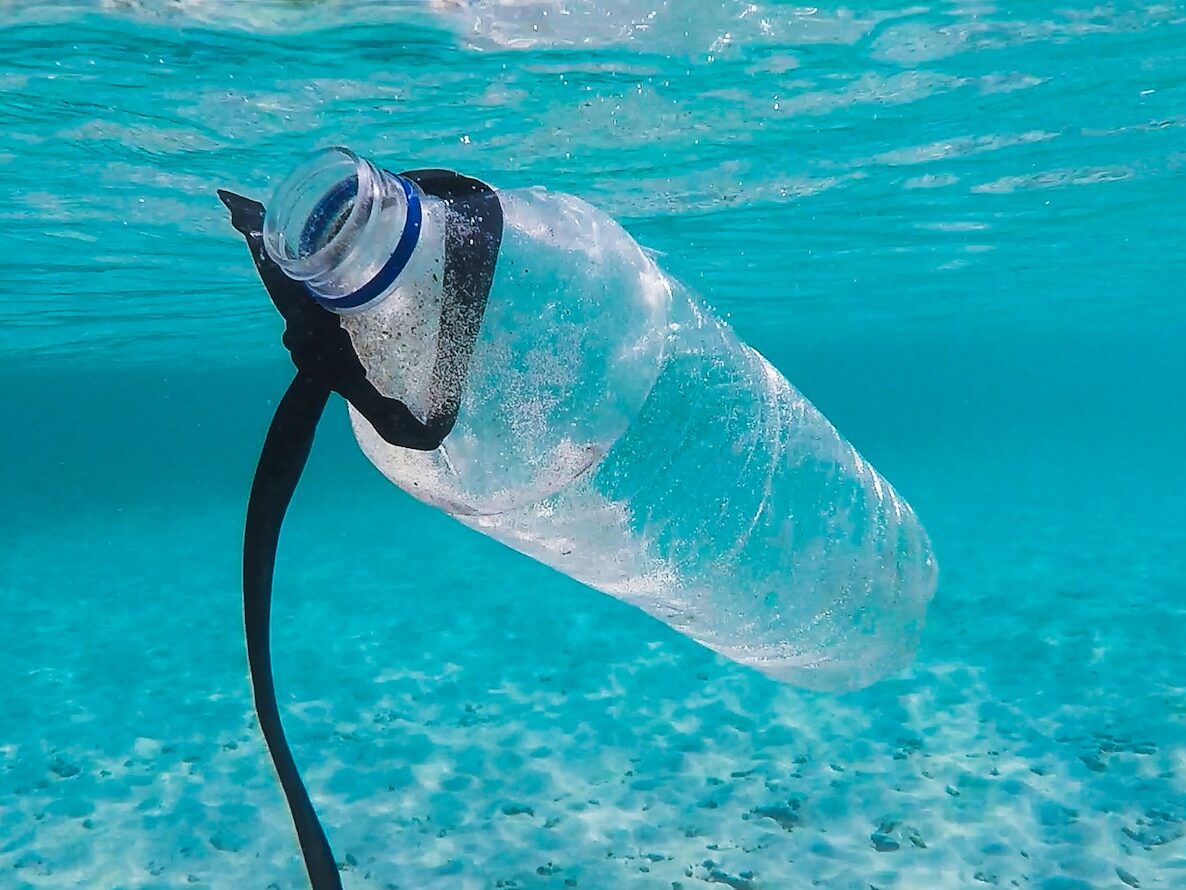 water bottle in water