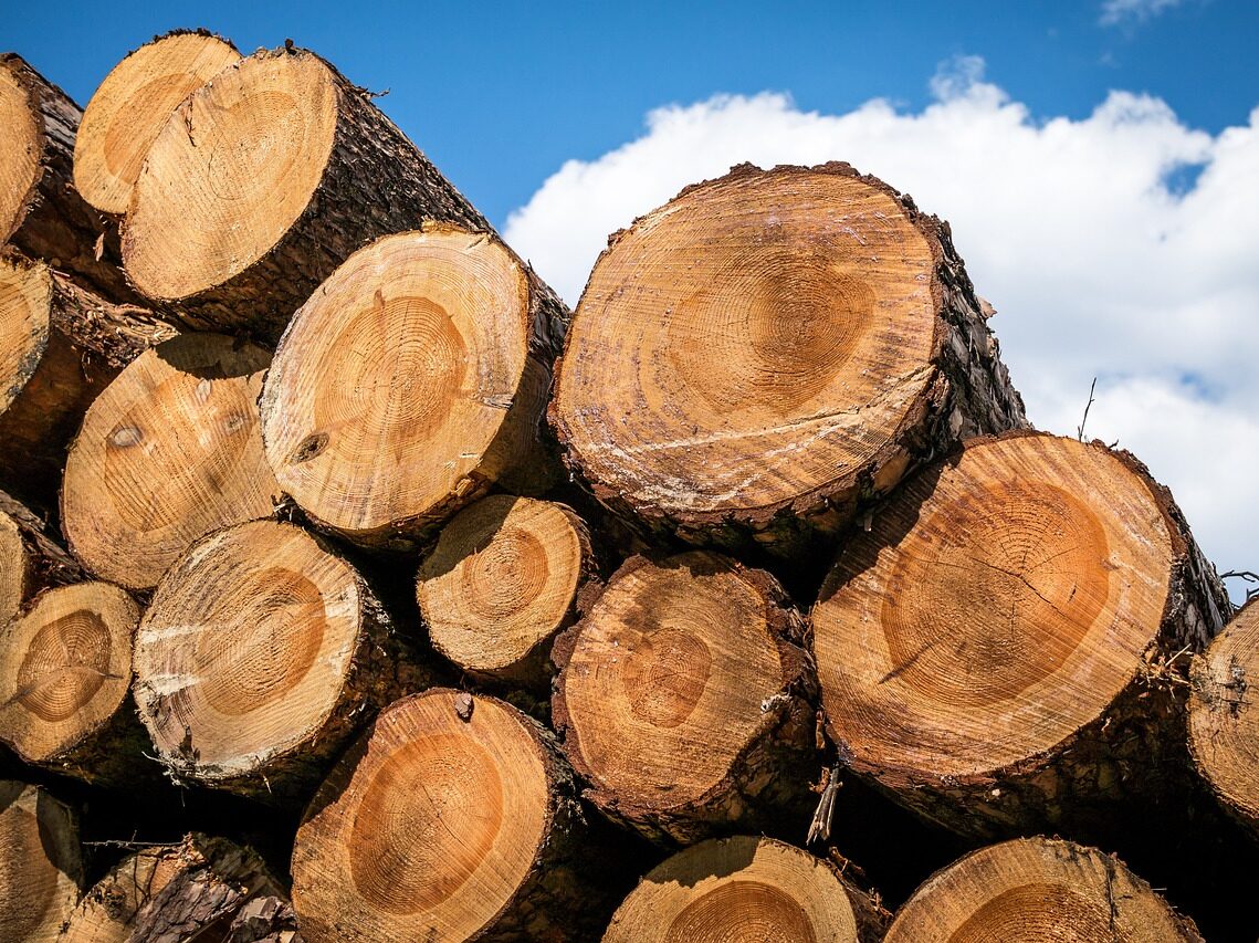 wood, tribes, tree trunks