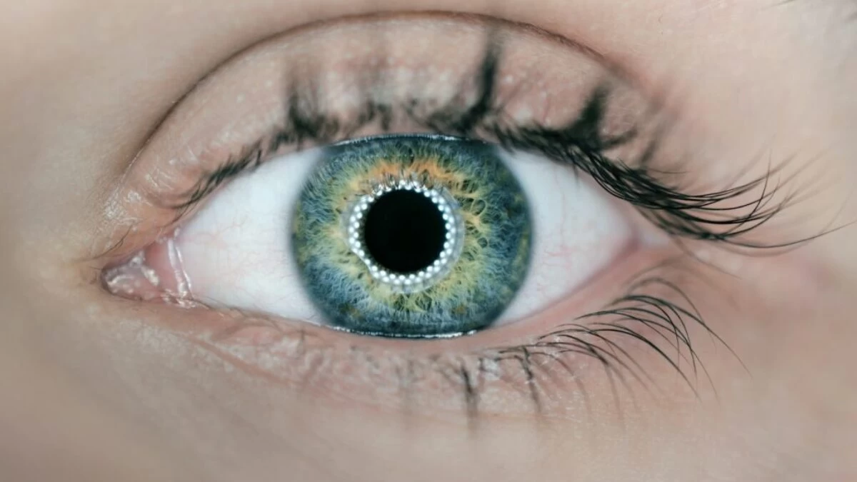 person showing green and black eyelid closeup photography