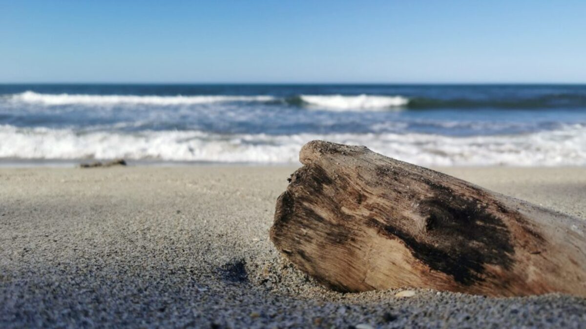 a piece of wood sitting on top of a sandy beach