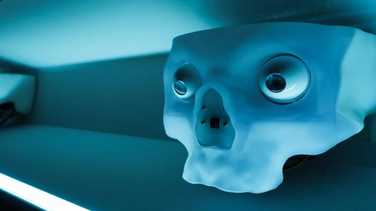 a strange looking object with eyes and a nose