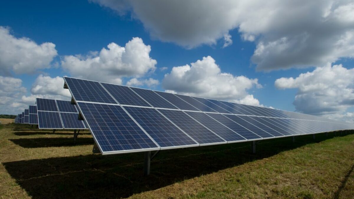 solar panels on green field