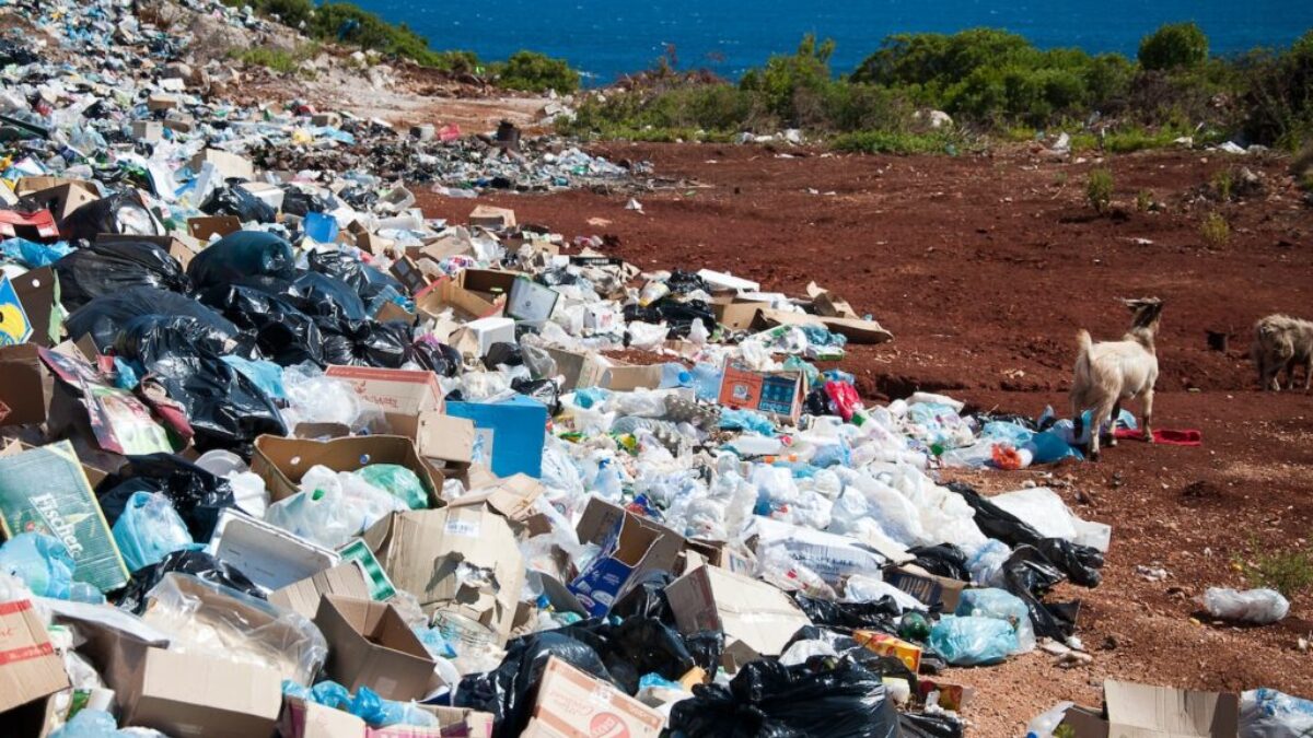 garbage near forest