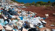 garbage near forest