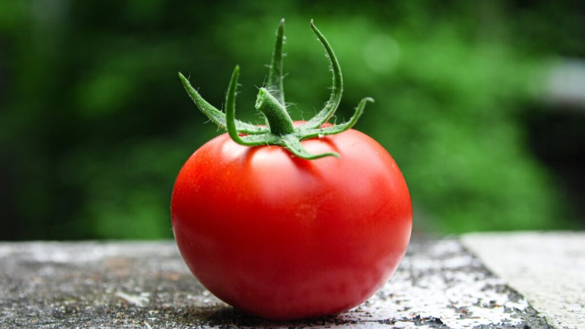 red tomato on gray concrete surface
