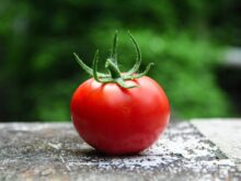 red tomato on gray concrete surface