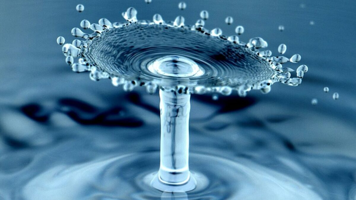 water drops macro photography