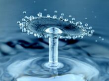water drops macro photography