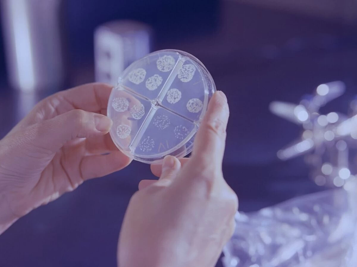 a person holding a round object in their hands