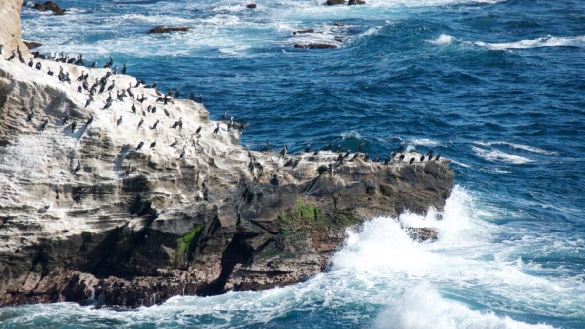 Island Japan