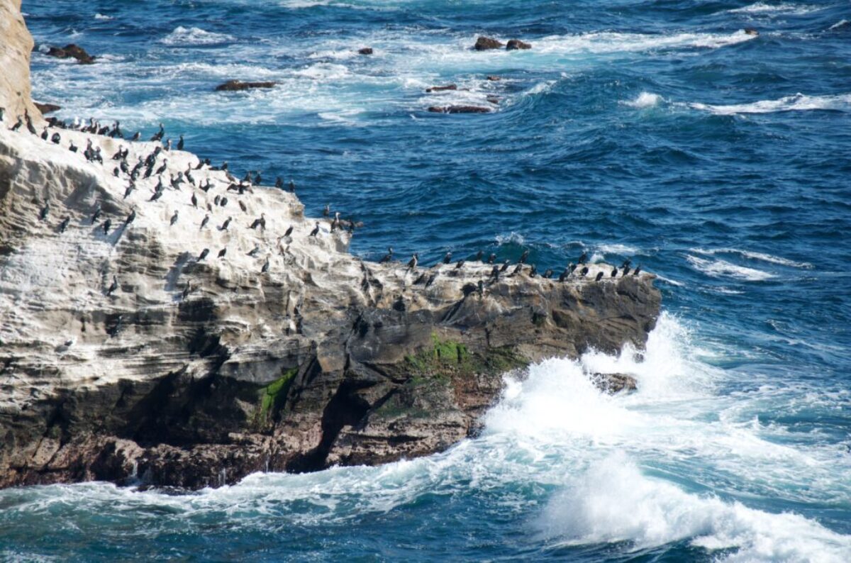 Island Japan