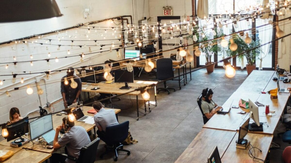 people sitting in front of computer monitors