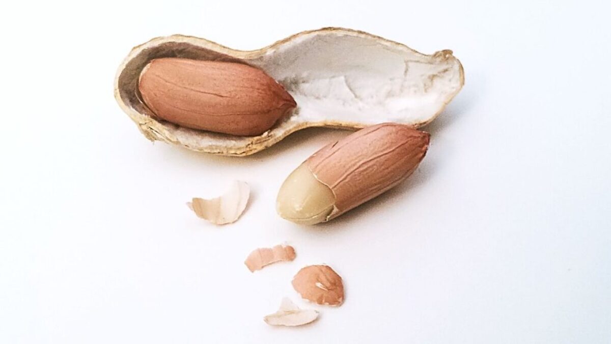 peanut, nut, nuts