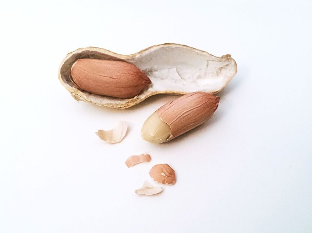 peanut, nut, nuts