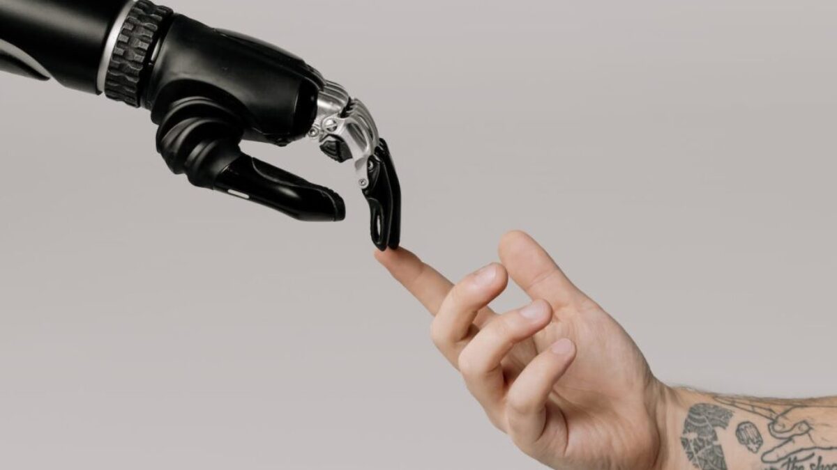 Bionic Hand and Human Hand Finger Pointing