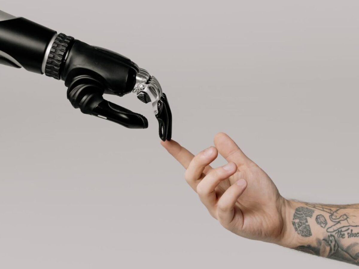 Bionic Hand and Human Hand Finger Pointing