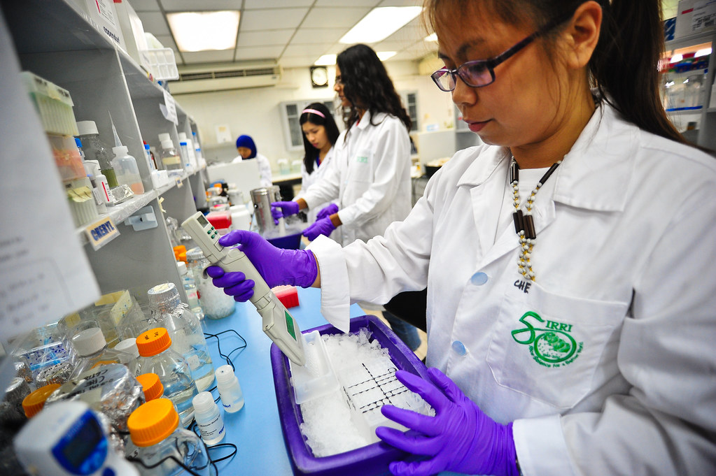 Laboratory work at IRRI - CHR_9968 - Techsvět