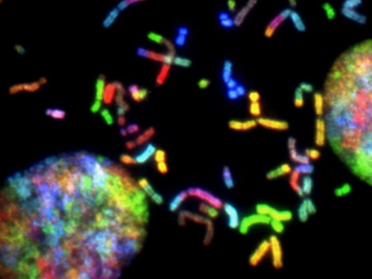 a close up of a cell phone with a black background