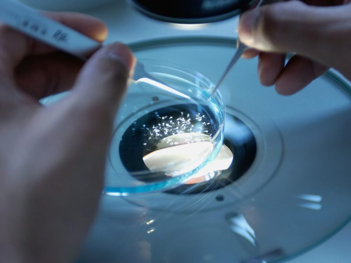 a close up of a person holding a toothbrush