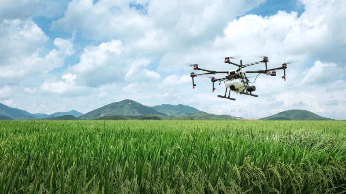 dji, farming, agriculture