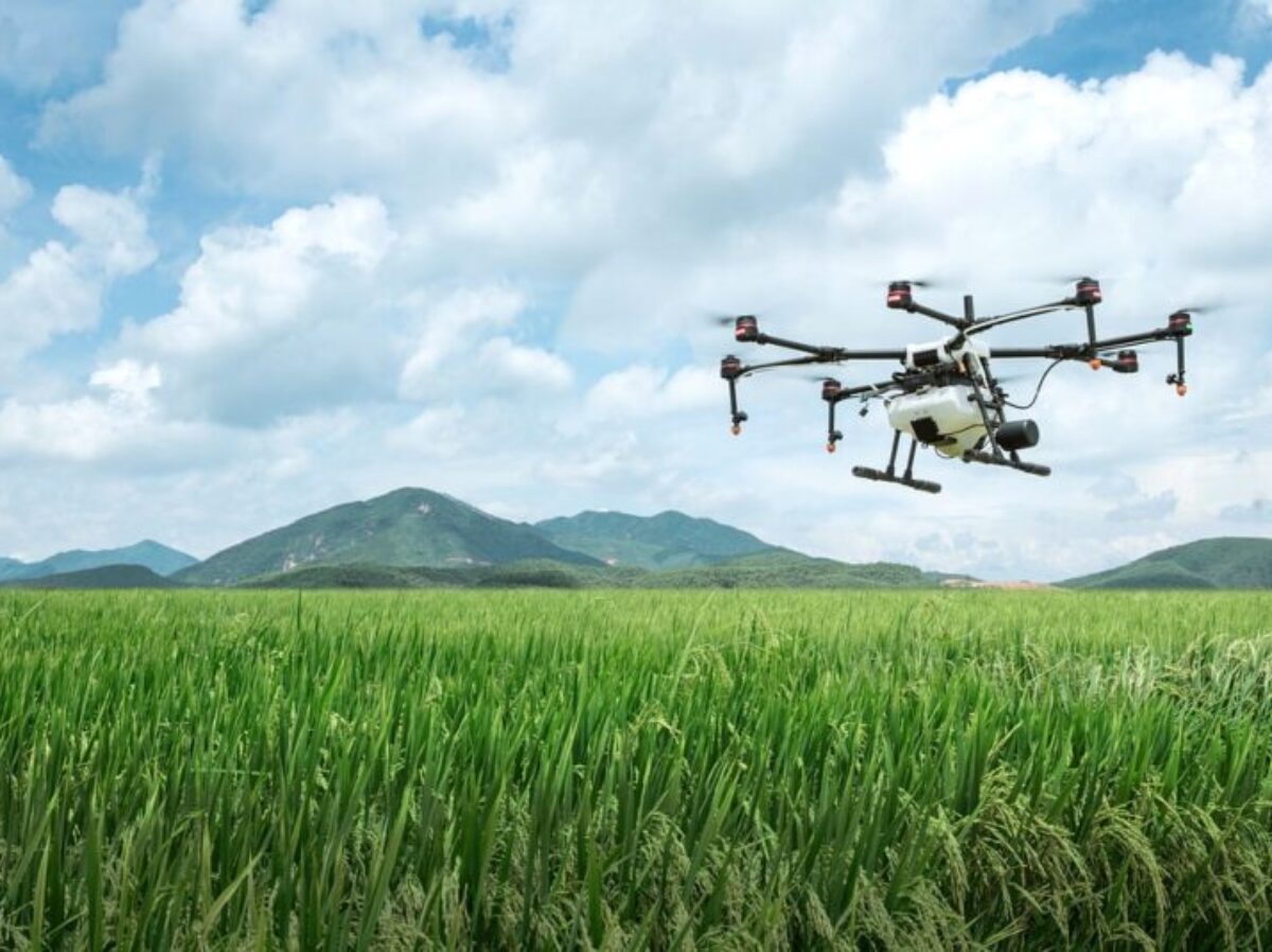 dji, farming, agriculture