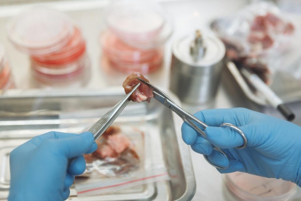 Photo by Thirdman - Techsvět Close-up of a Lab Worker Doing Research and Holding a Piece of Meat