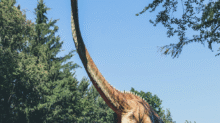 Vizualizace dinosaura