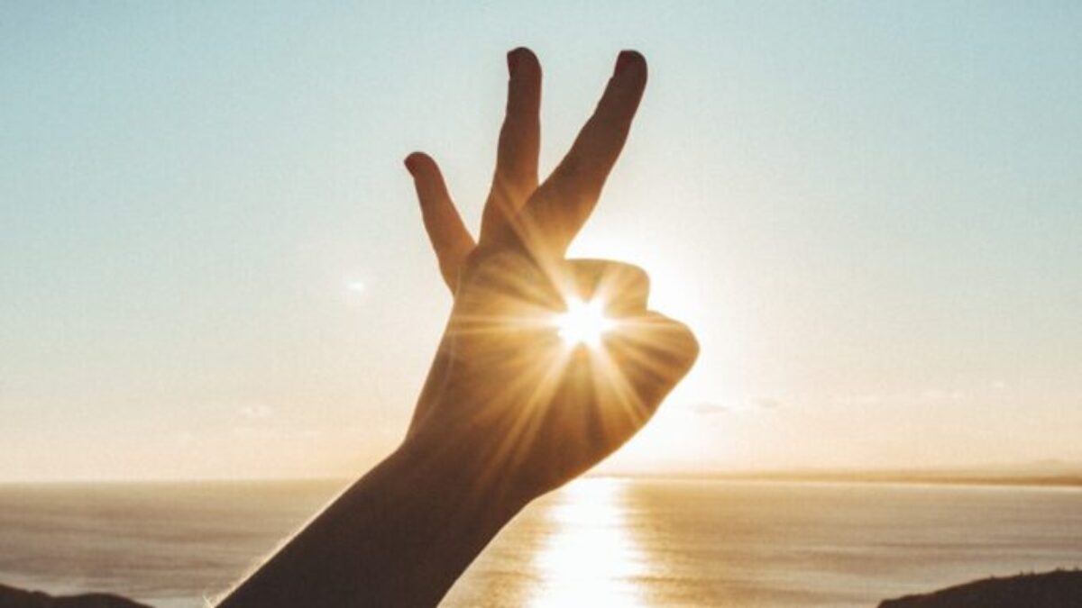 silhouette of hand during golden hour