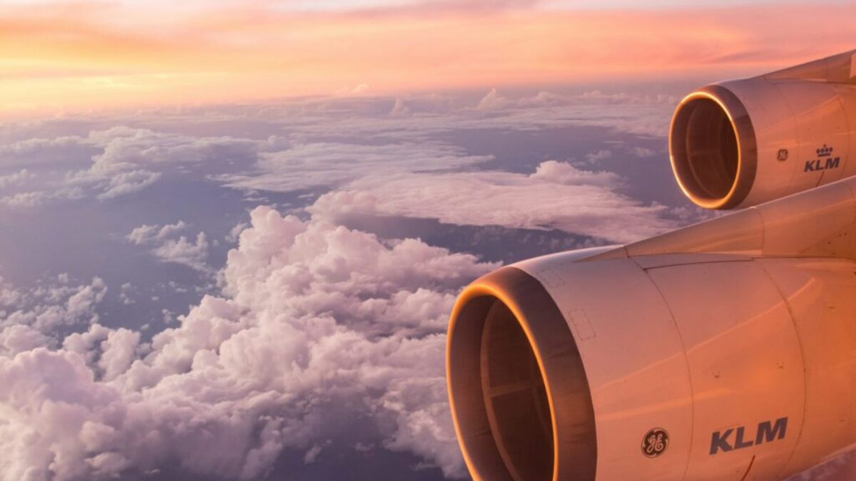 white air plane wing