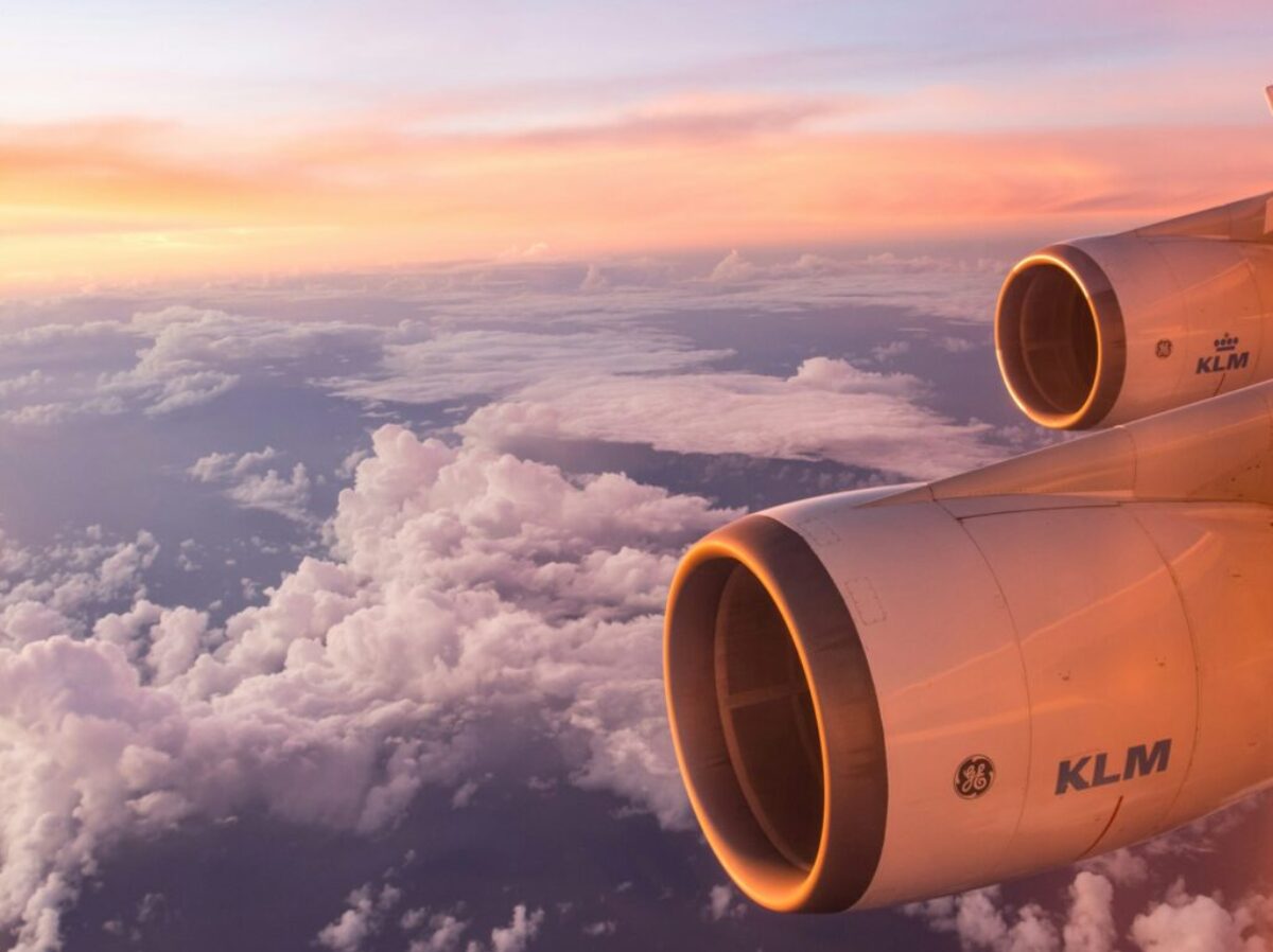 white air plane wing