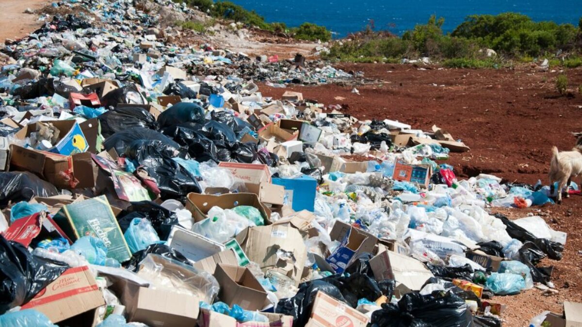 garbage near forest