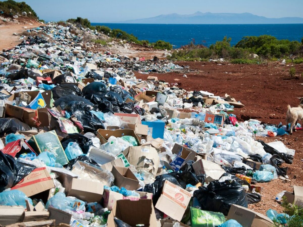 garbage near forest