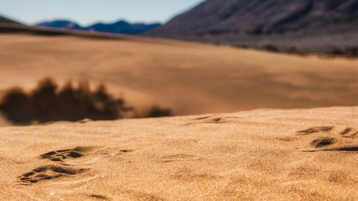 brown sand under blue sky during daytime